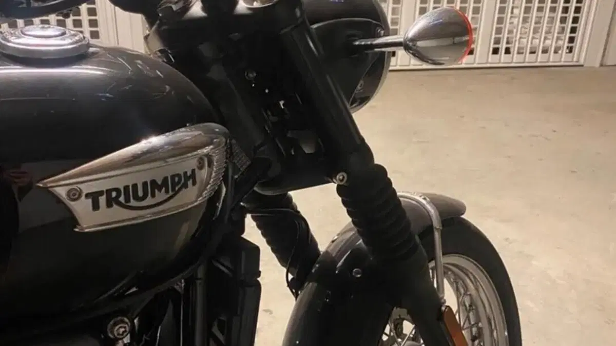 Triumph Bonneville T100 (2017 - 20)  (3)