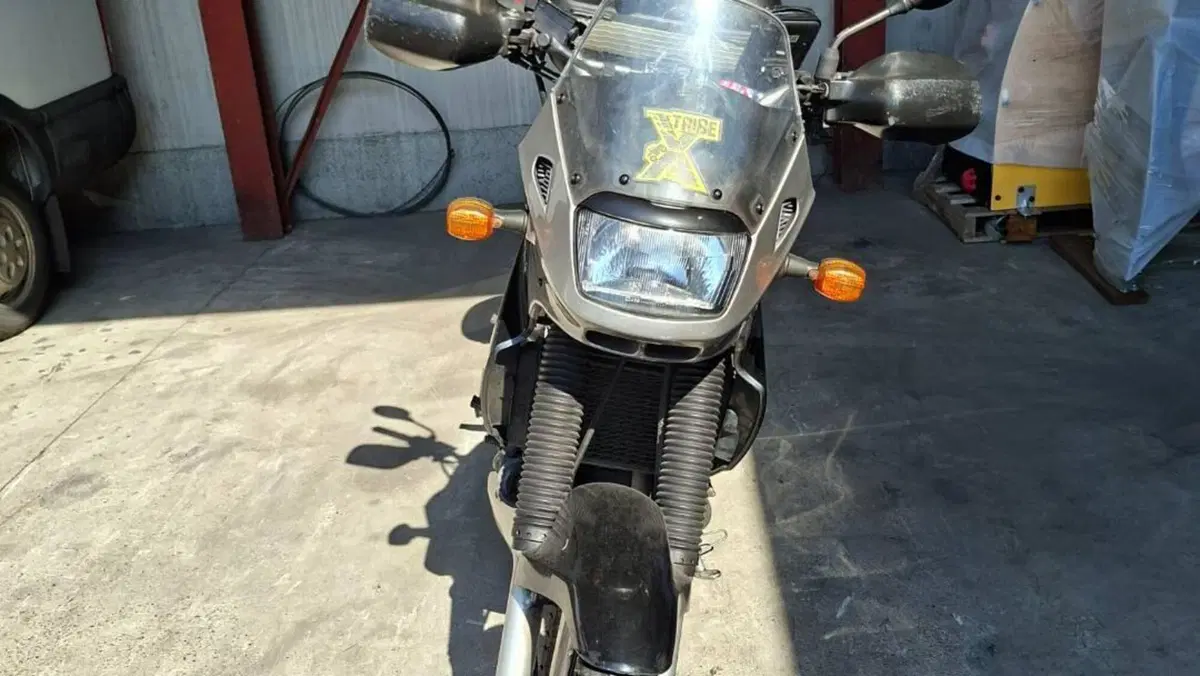 Kawasaki KLE 500 (2001 - 04)  (3)