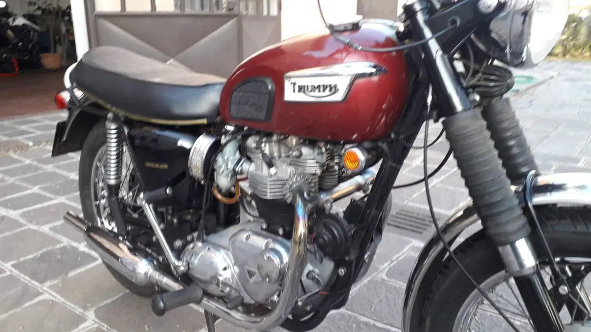 Triumph   (2)