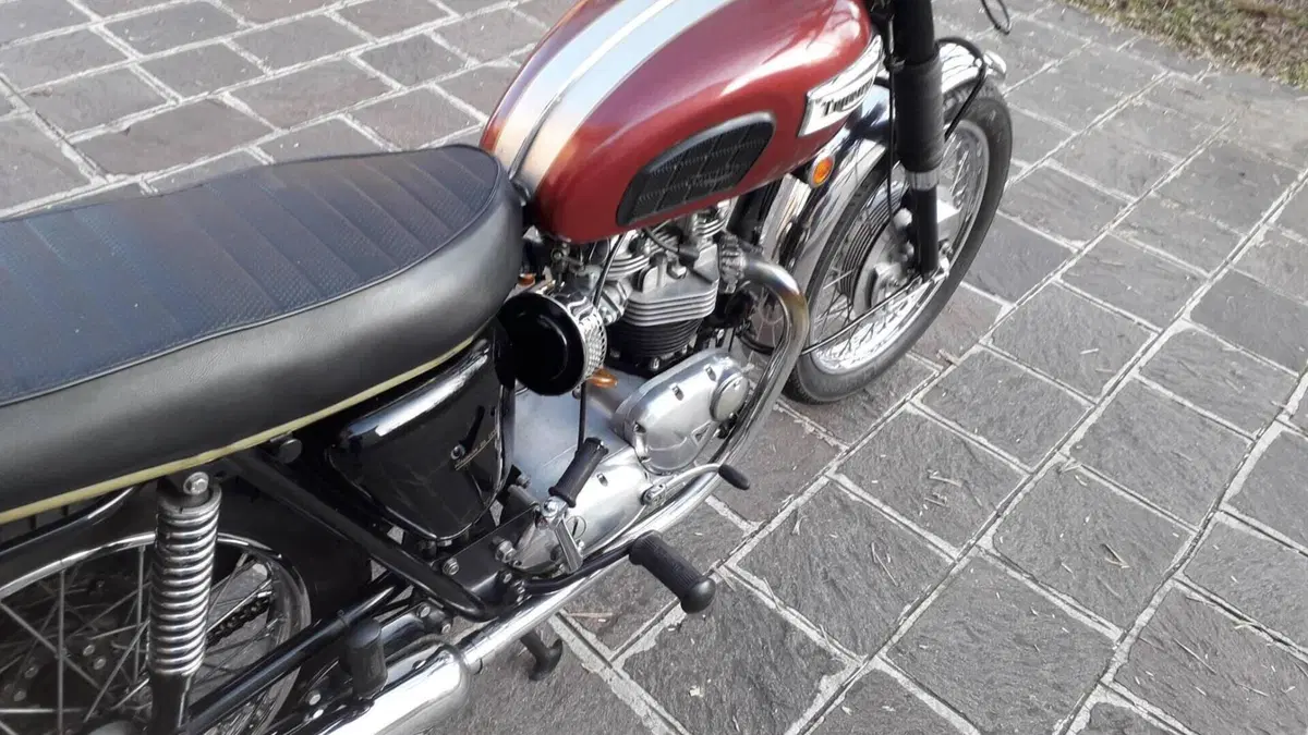 Triumph   (3)