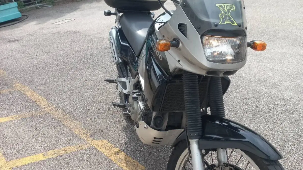 Kawasaki KLE 500 (2001 - 04)  (5)