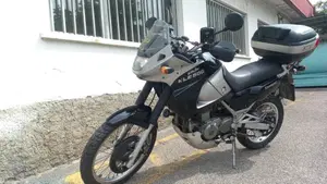 Kawasaki KLE 500 (2001 - 04)  (9)