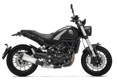 Benelli Leoncino 500 (2021 - 25) - Annuncio 10058191