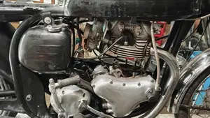 Norton   (2)