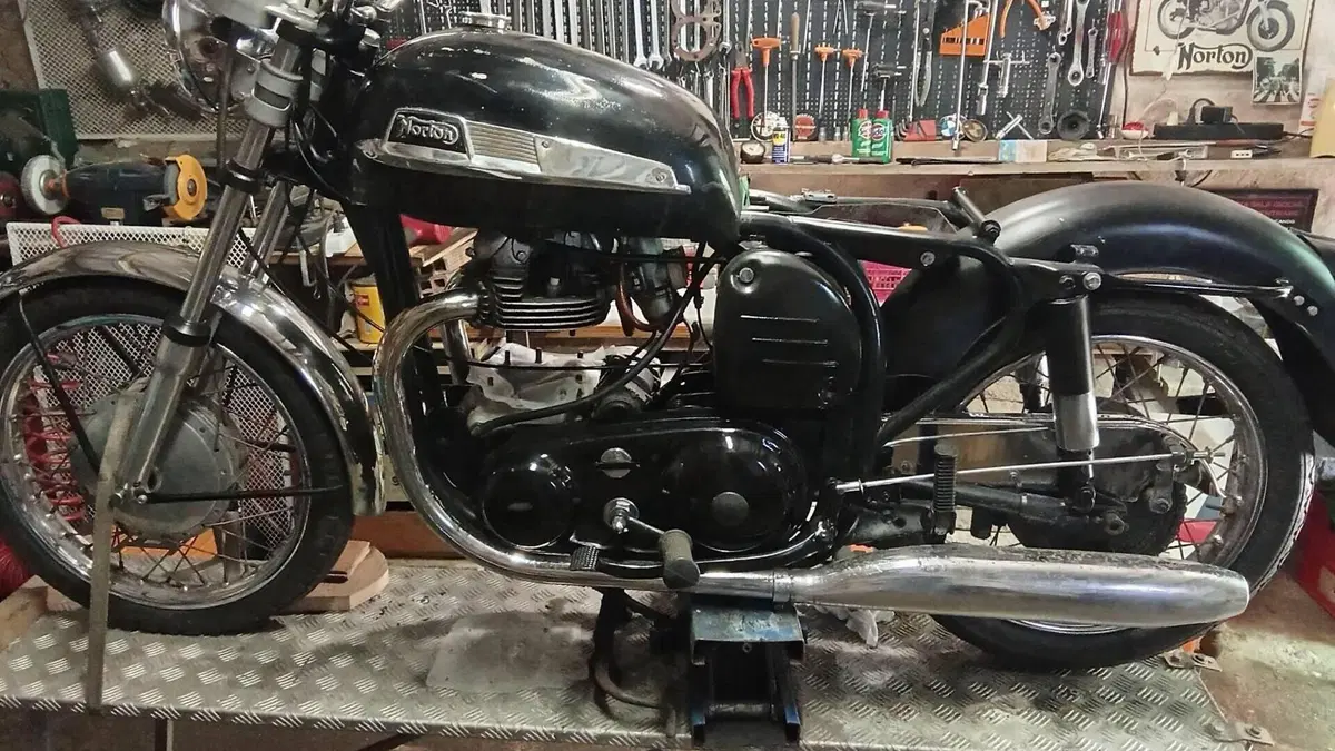 Norton   (3)