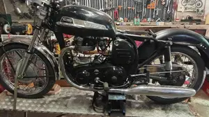 Norton   (3)