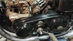 Norton   (6)