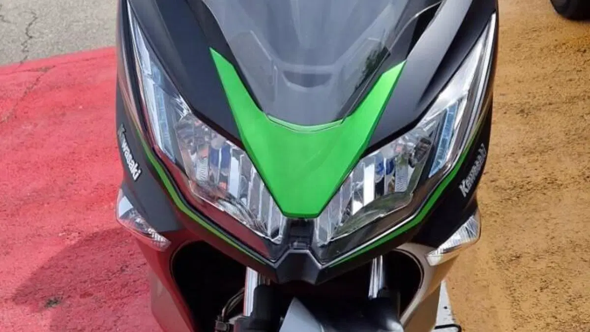 Kawasaki J 300 SE (2017 - 18)  (2)