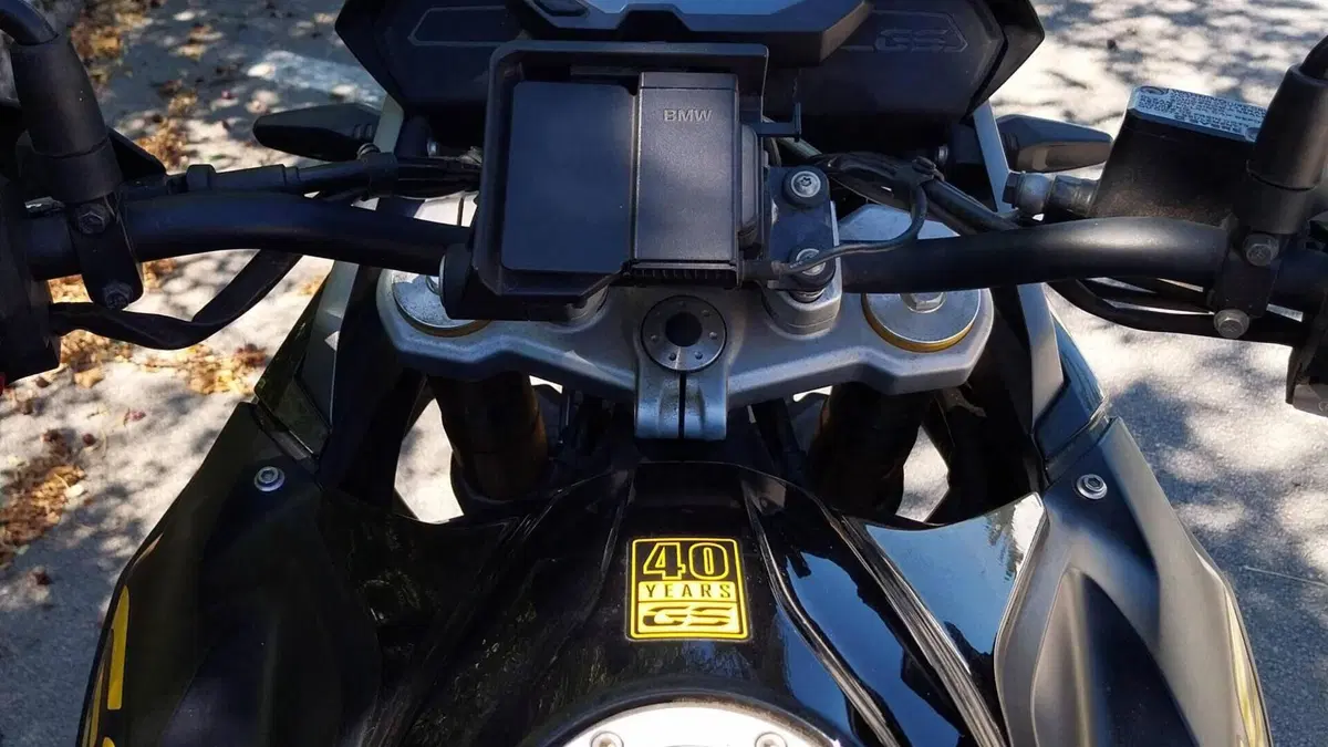 Bmw G 310 GS Edition 40 Years GS (2021)  (4)