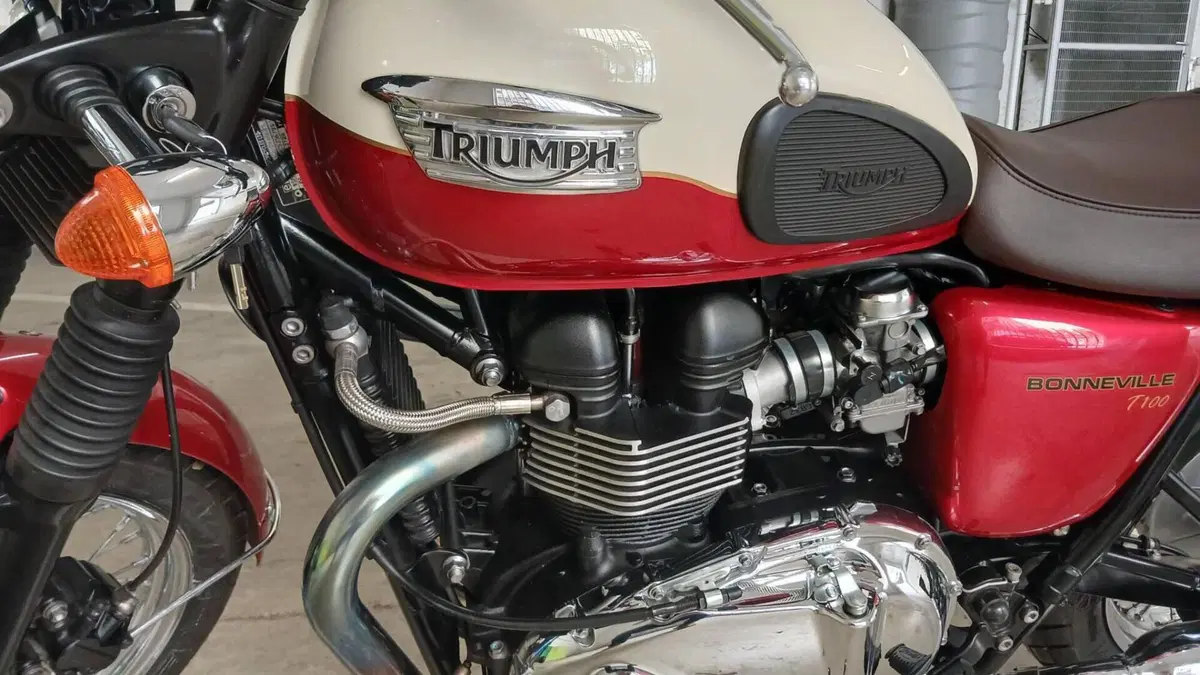 Triumph Bonneville T100 (2008 - 16)  (7)