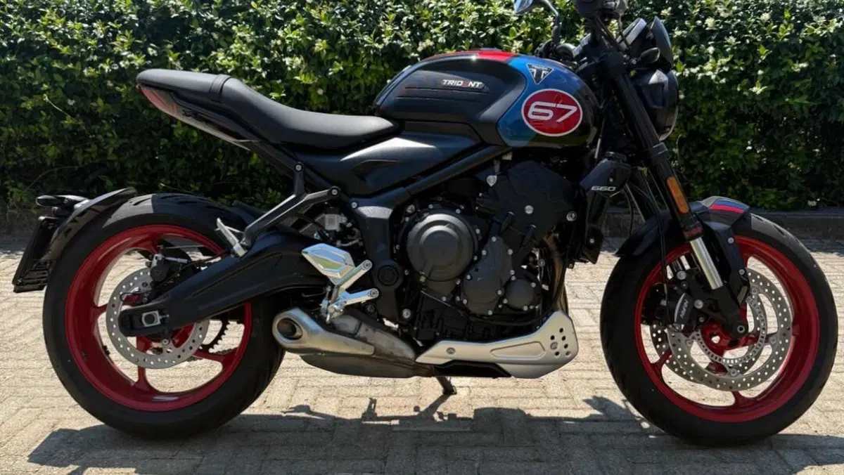 Triumph Trident 660 Triple Tribute Edition (2025 - 26) 
