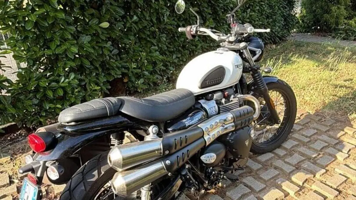 Triumph Street Scrambler 900 (2021 - 22)  (3)