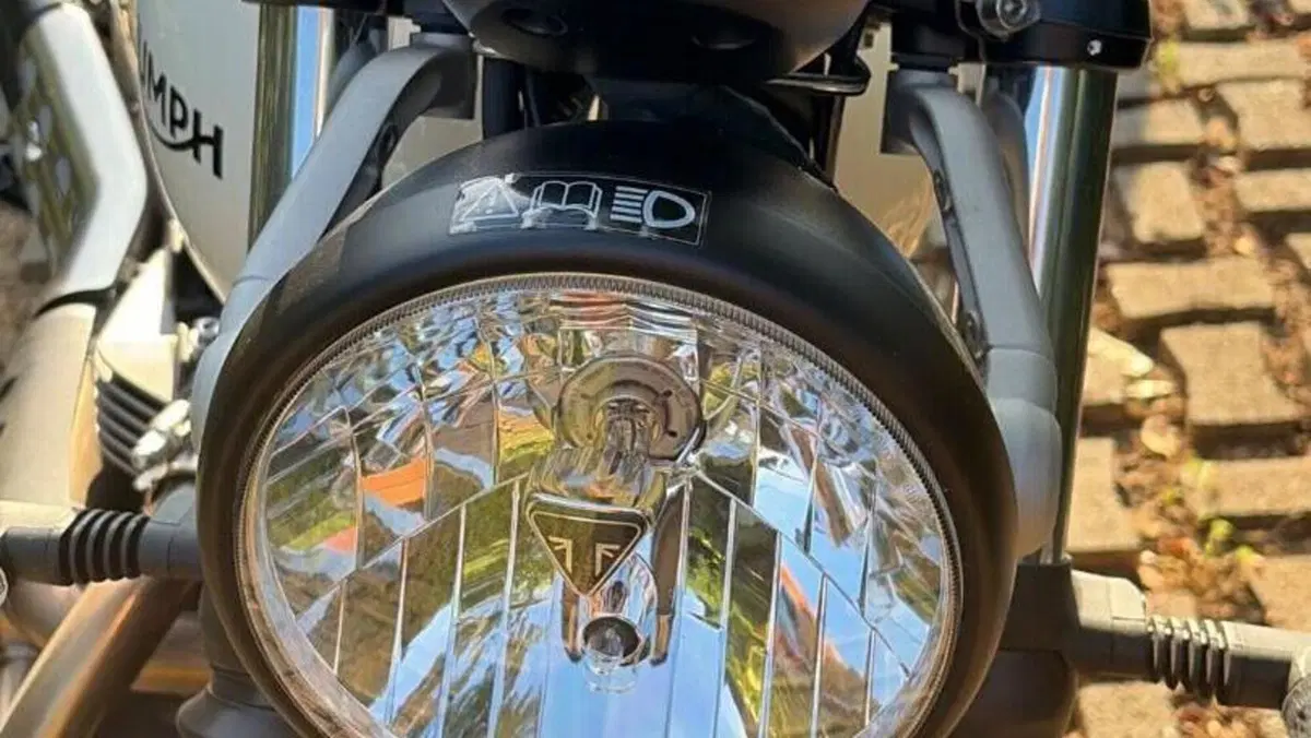 Triumph Street Scrambler 900 (2021 - 22)  (5)