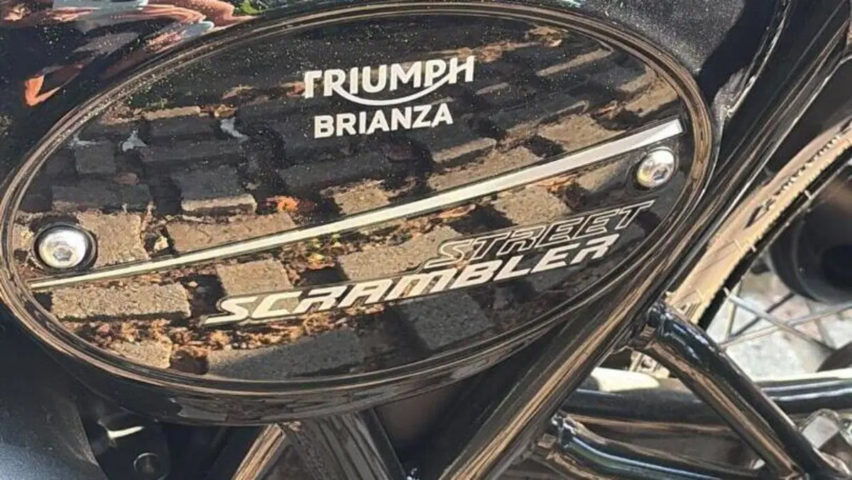 Triumph Street Scrambler 900 (2021 - 22)  (7)