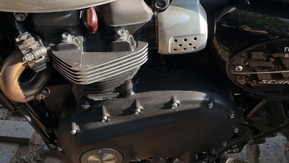 Triumph Street Scrambler 900 (2021 - 22)  (9)