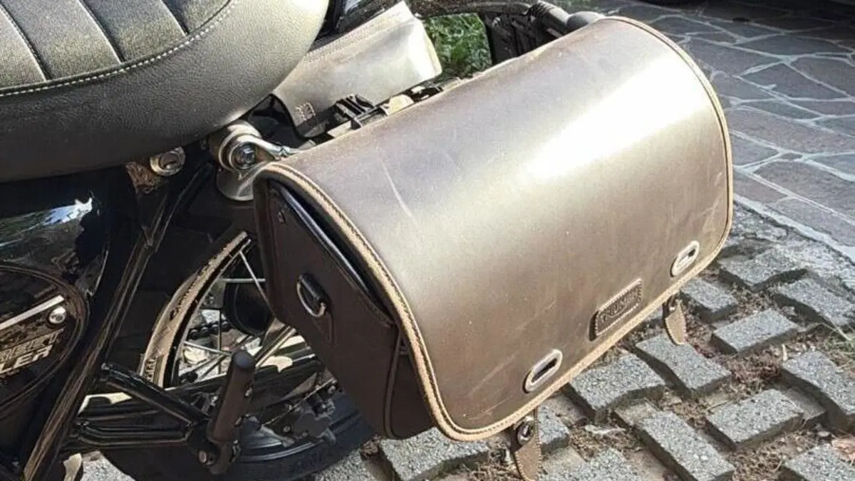 Triumph Street Scrambler 900 (2021 - 22)  (11)