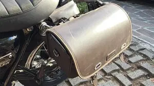 Triumph Street Scrambler 900 (2021 - 22)  (11)