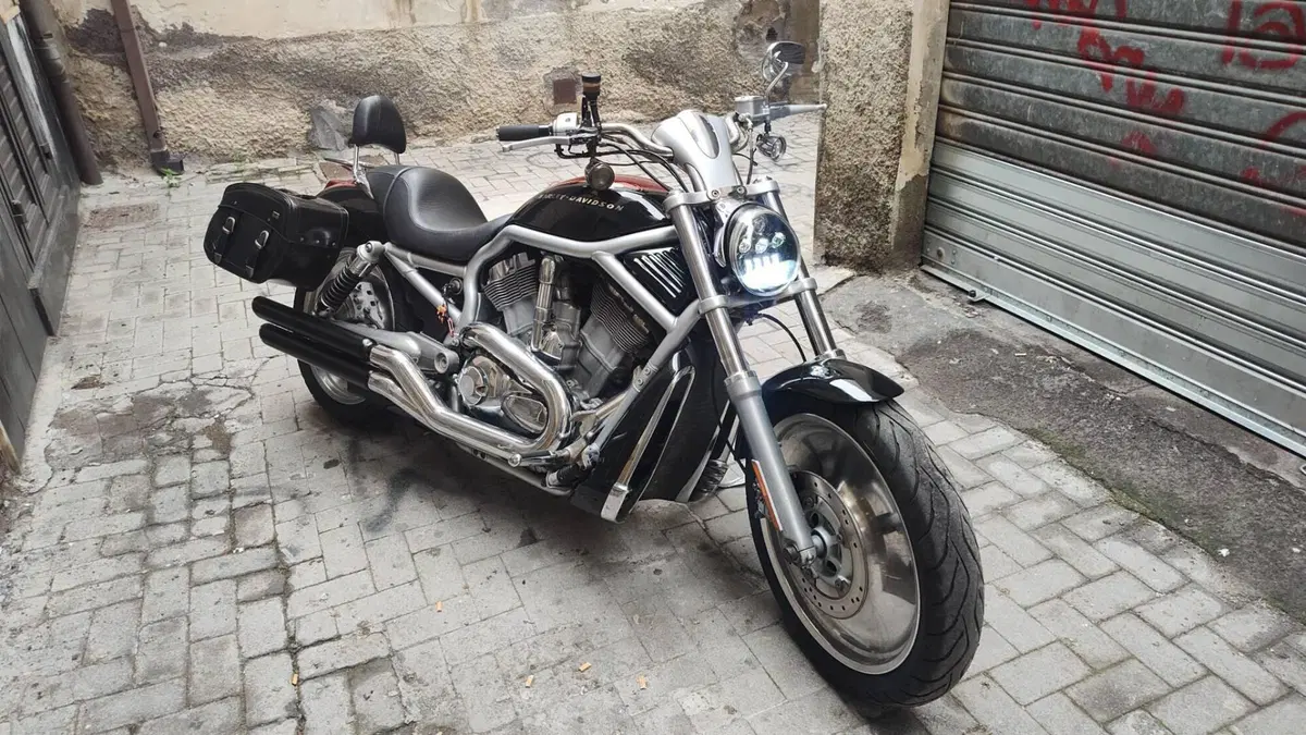 Harley-Davidson 1130 V-Rod (2002 - 05) - VRSCA 