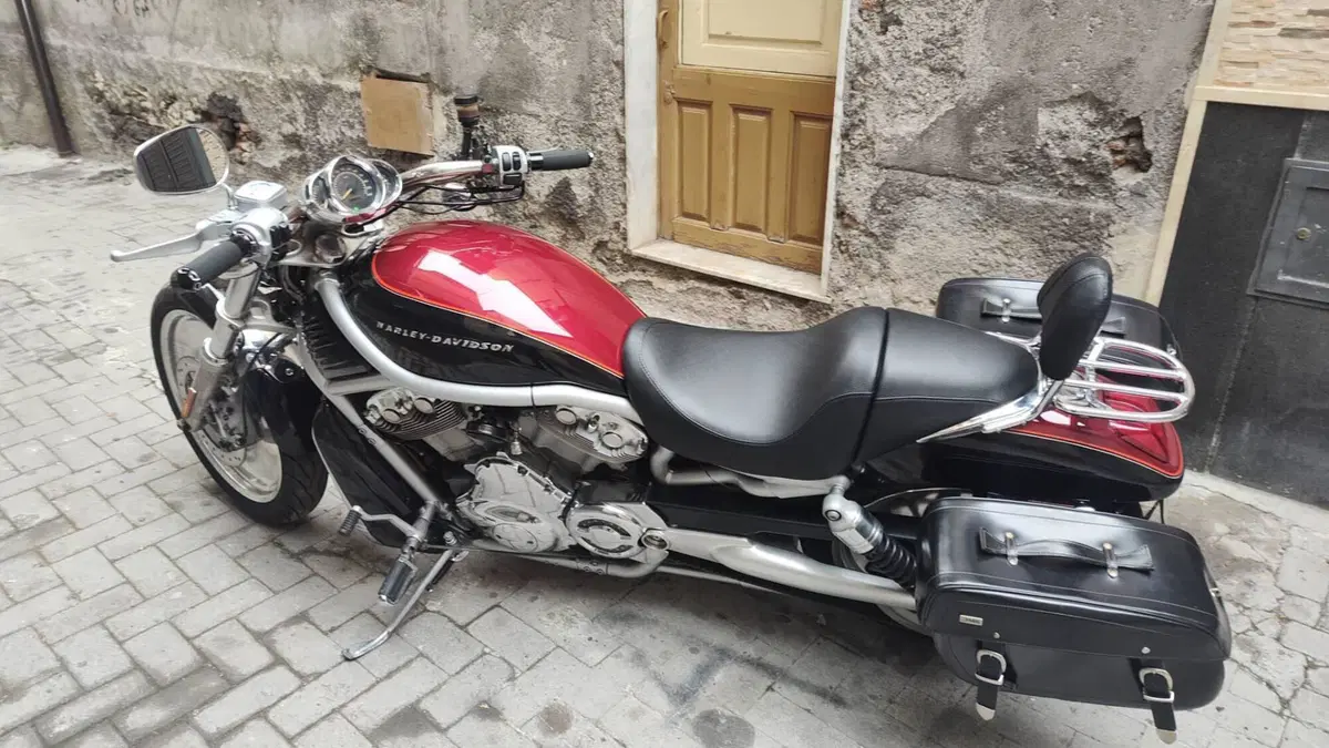 Harley-Davidson 1130 V-Rod (2002 - 05) - VRSCA  (3)