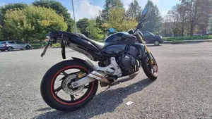 Honda Hornet 600 (2007 - 10)  (2)