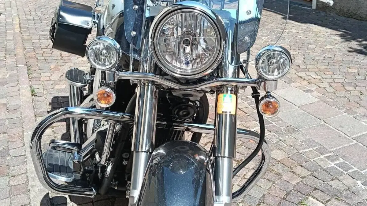 Kawasaki Vulcan VN 900 Classic (2011 - 16)  (2)