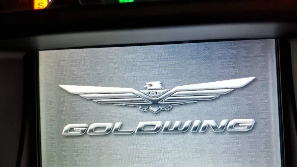Honda GL 1800 Gold Wing (2012 - 17)  (7)