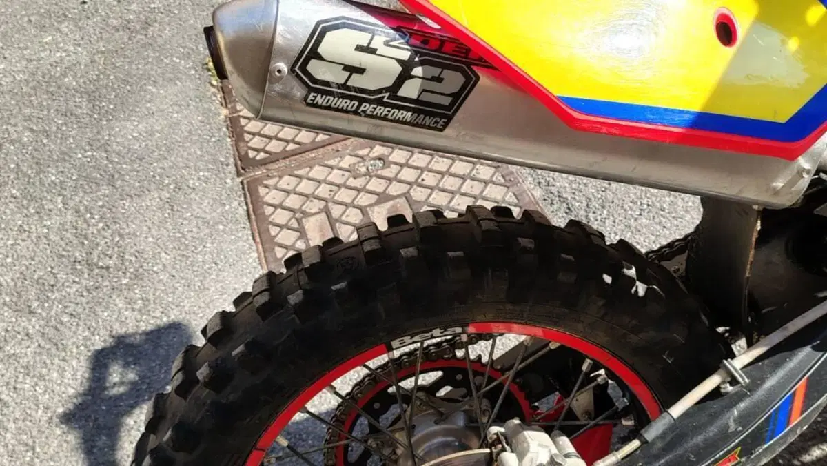 Betamotor RR 300 2T Enduro (2014)  (6)