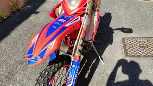 Betamotor RR 300 2T Enduro (2014)  (7)