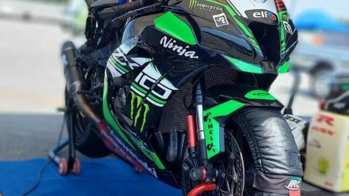 Kawasaki Ninja 1000 ZX-10R (2017 - 18)  (2)