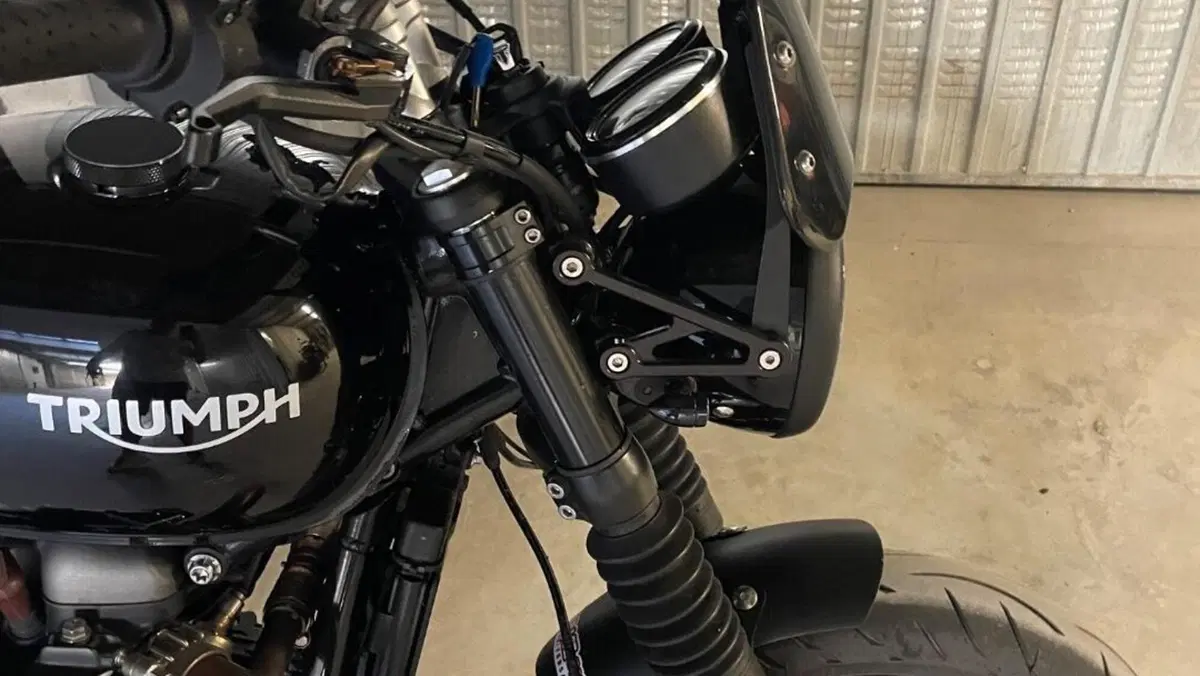 Triumph Speed Twin 1200 (2019 - 20)  (5)