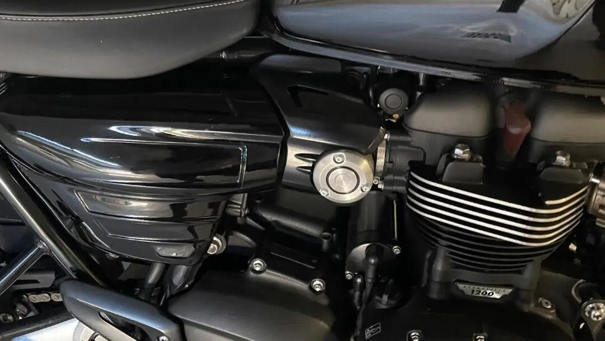 Triumph Speed Twin 1200 (2019 - 20)  (6)