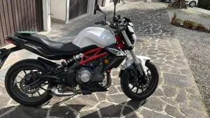 Benelli BN 302 (2017 - 19)  (13)