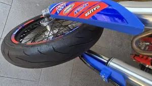 Betamotor RR 125 4T Motard R (2023 - 24)  (9)