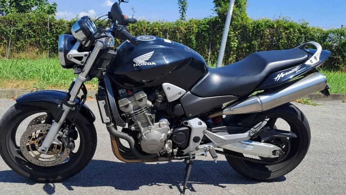 Honda Hornet 900  (4)
