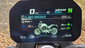 Bmw F 900 R (2017 - 20)  (4)