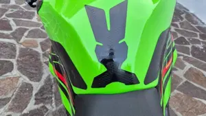 Kawasaki Ninja 636 ZX-6R Performance (2025 - 26)  (10)