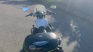 Moto Guzzi V9 Roamer (2016 - 18)  (13)