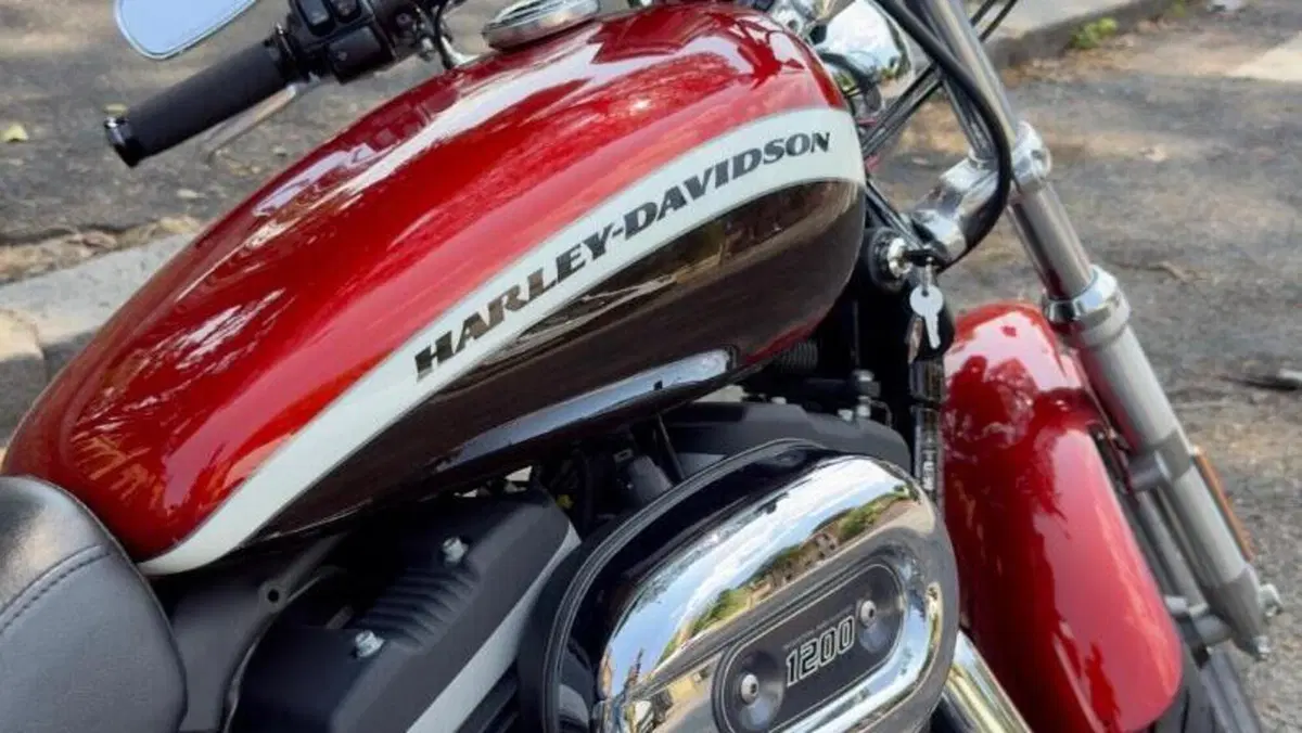 Harley-Davidson 1200 Custom CA (2013 - 17) - XL 1200CA  (7)