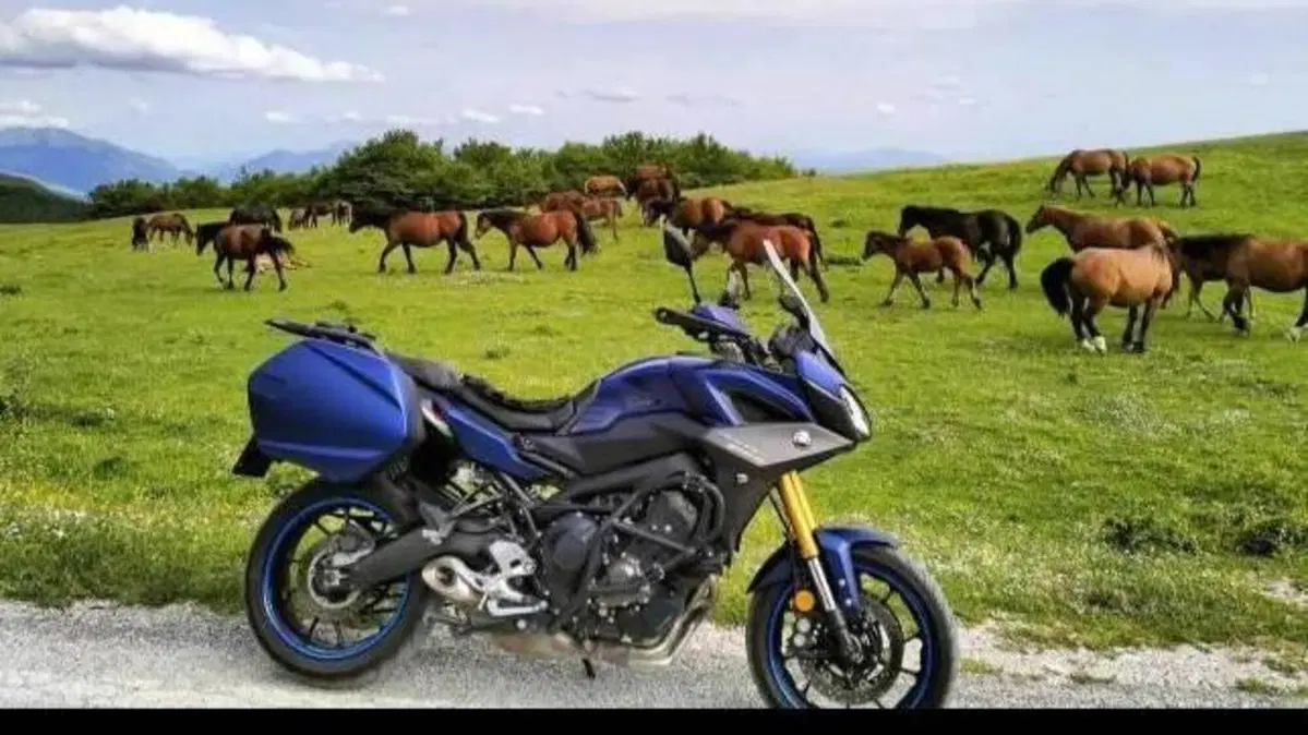 Yamaha Tracer 900 GT (2018 - 20) 