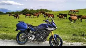Yamaha Tracer 900 GT (2018 - 20) 