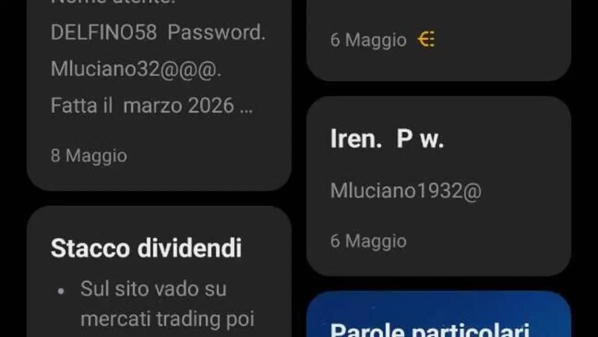 Ducati Multistrada V4 S (2021 - 24)  (7)