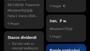 Ducati Multistrada V4 S (2021 - 24)  (7)