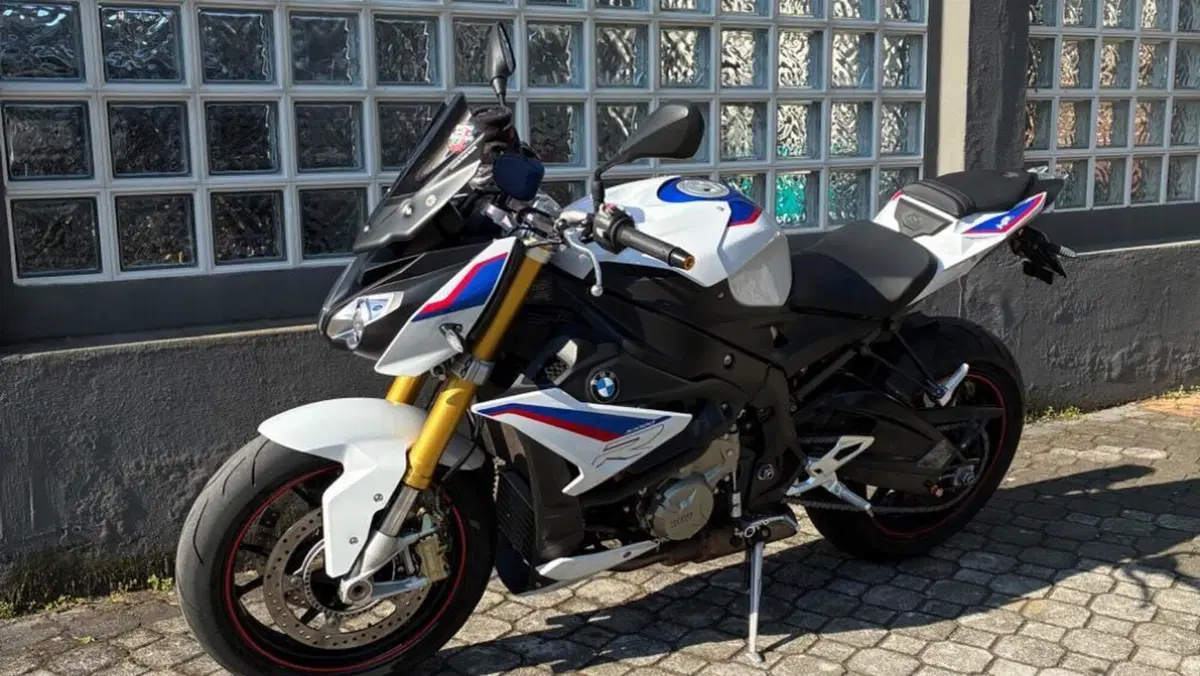 Bmw S 1000 R (2017 - 20)  (2)
