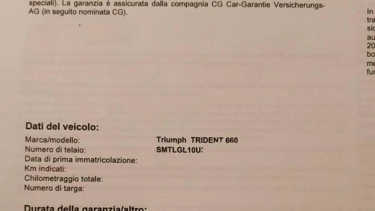Triumph Trident 660 (2021 - 24)  (6)