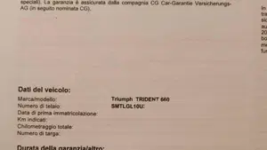 Triumph Trident 660 (2021 - 24)  (6)