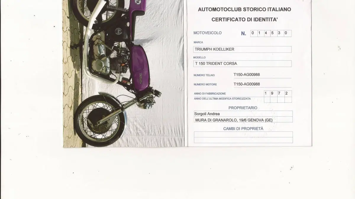 Triumph   (3)