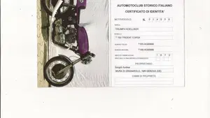 Triumph   (3)