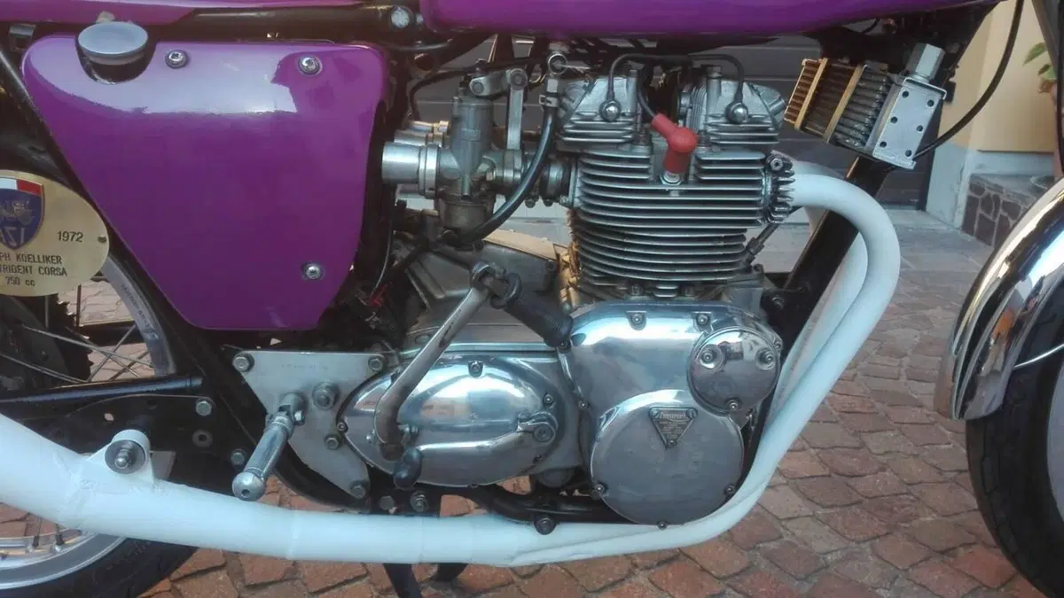 Triumph   (8)