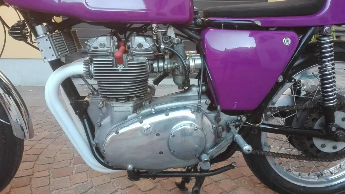 Triumph   (12)