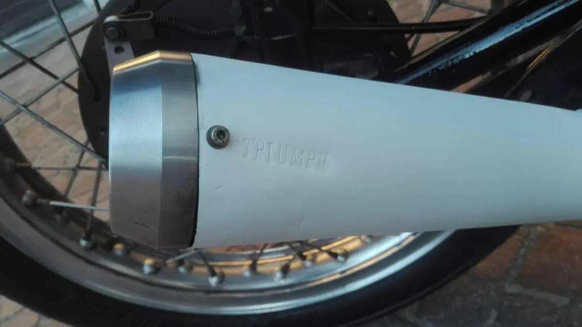 Triumph   (20)